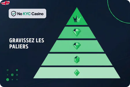 Programmes VIP dans les casinos No KYC